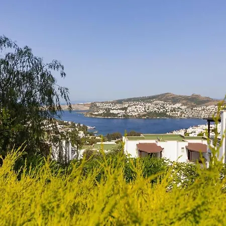 דירה Charming Duplex With Pool And Stunning Mediterranean View In